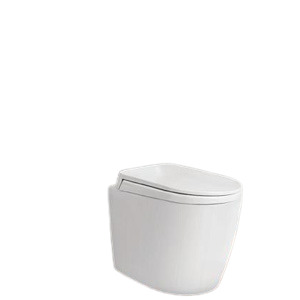 Bồn cầu két âm tường Viglacera V56