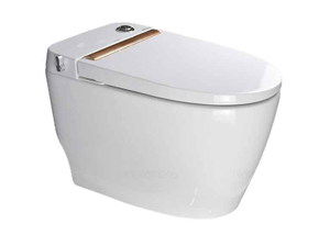Bồn cầu két nước âm Hiwin MT-240