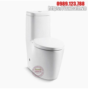 Bồn cầu Kohler K-3902T-S-0 một khối