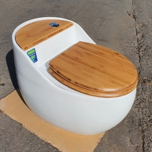 Bồn cầu liền khối 9216