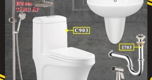 Bồn cầu liền khối Dakoshi C903