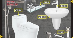 Bồn cầu liền khối Dakoshi C906