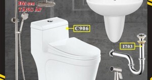 Bồn cầu liền khối Dakoshi C906