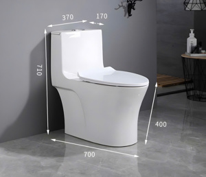 Bồn cầu liền khối LK-1012
