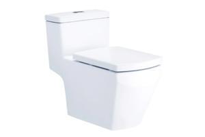 Bồn cầu một khối COTTO C107127