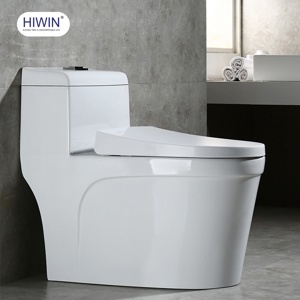 Bồn cầu một khối Hiwin MT-2216PP