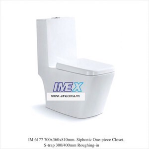 Bồn cầu một khối Imex IM6177 (IM 6177)