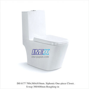 Bồn cầu một khối Imex IM6177 (IM 6177)