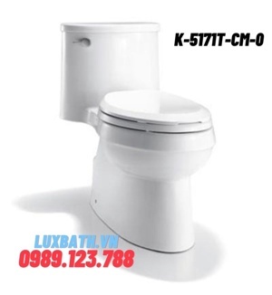 Bồn cầu một khối Kohler Adair K-5171T-C-0