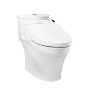 Bồn cầu một khối Toto MS885DW6#XW