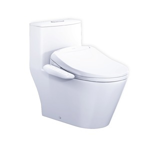 Bồn cầu nắp rửa điện tử Caesar CD1363+TAF400H