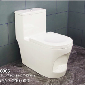 Bồn cầu Napolon 8066 - 1 khối