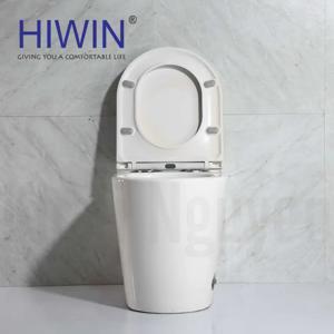 Bồn cầu nguyên khối Hiwin MT-6040