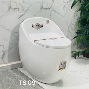 Bồn cầu Sosani TS09