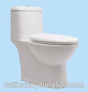 Bồn cầu Thiên Thanh Sky - 1 khối