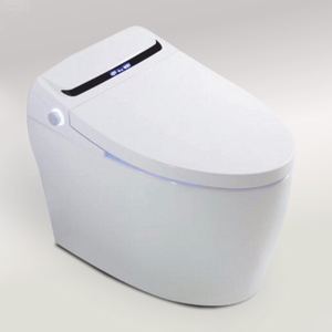 Bồn cầu thông minh Gama GMBC913