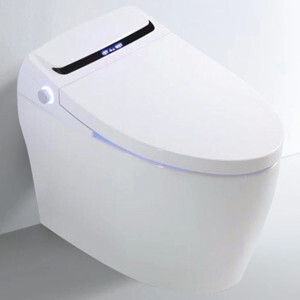 Bồn cầu thông minh Gama GMBC913