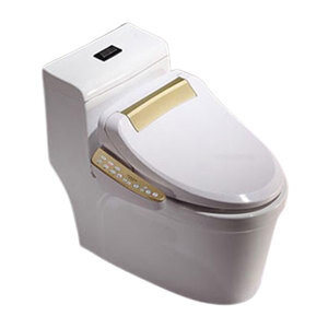 Bồn cầu thông minh Moonoah MN-1208