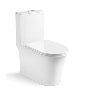 Bồn cầu toilet Bancoot liền khối TS86