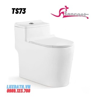 Bồn cầu toilet Bancoot liền khối TS73