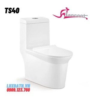 Bồn cầu toilet Bancoot liền khối TS40