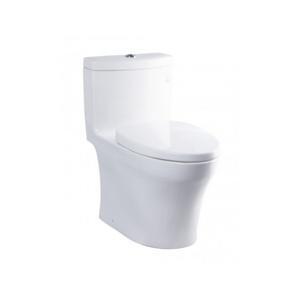 Bồn cầu Toto 1 khối MS889DRT3