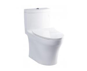 Bồn cầu Toto 1 khối MS889DRT8