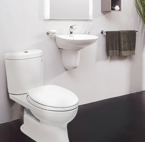 Bồn cầu TOTO 2 khối CS325DMT2
