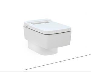 Bồn cầu TOTO CW512YR/9AE0007/TC501CVK