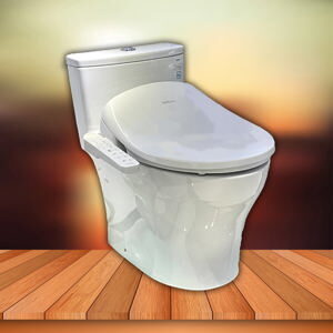 Bồn cầu Toto MS855DT8#XW