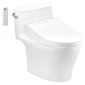 Bồn cầu Toto MS887CRW15