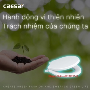 Bồn cầu trẻ em Caesar CT1026 (CT-1026) - 2 khối