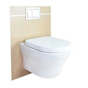 Bồn cầu treo tường ToTo CW162