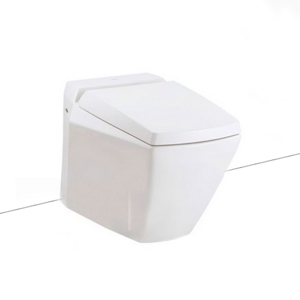 Bồn cầu treo tường TOTO CW681#XW/TCP06/T53P100VR/TC375CVK#W