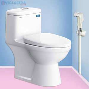 Bồn cầu Viglacera BL5 (BL-5) - 1 khối