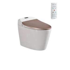 Bồn cầu Viglacera thông minh V94.GW