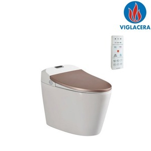 Bồn cầu Viglacera thông minh V93.GW