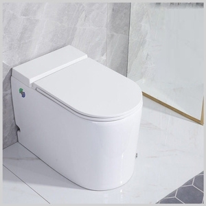 Bồn cầu xả trực tiếp 580