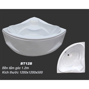 Bồn tắm góc BT12