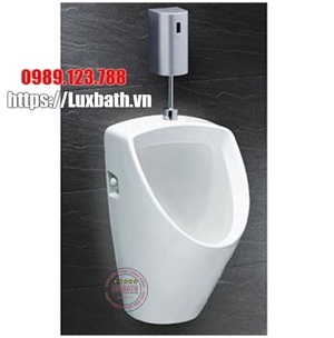 Bồn tiểu nam Caesar U0262