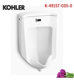 Bồn tiểu nam Kohler K-4915T-W-0