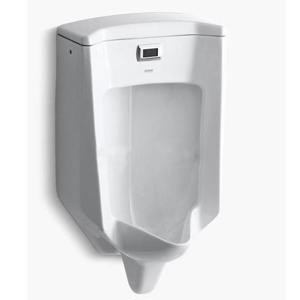 Bồn tiểu nam Kohler K-4915T-W-0