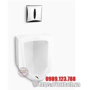 Bồn tiểu nam Kohler K-4978T-ER-0