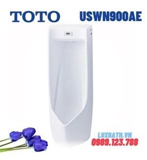 Bồn tiểu nam Toto USWN900AE/HHF90603