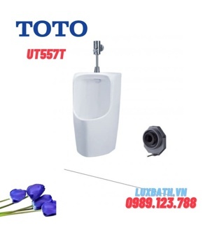 Bồn tiểu nam Toto UT557T#XW