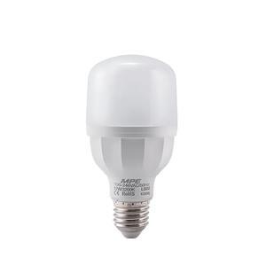 Bóng bulb trụ MPE LBD2 LBD2-12T