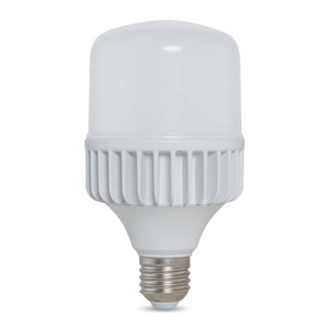 Bóng búp trụ nhôm đúc Rạng Đông TR100 ND/30W.H