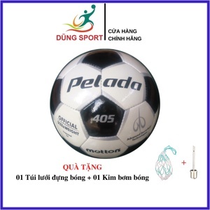 Bóng đá Hải phòng Paledas 405