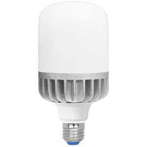 Bóng đèn LED Bulb trụ nhôm Roman ELB7026/12W