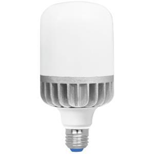 Bóng đèn LED Bulb trụ nhôm Roman ELB7026/20W